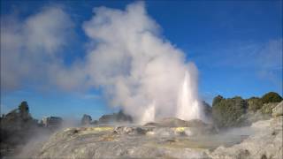 Pōhutu geyser  Te Puia Rotorua Geothermal amp Geysers  New Zealand [upl. by Anavoig976]