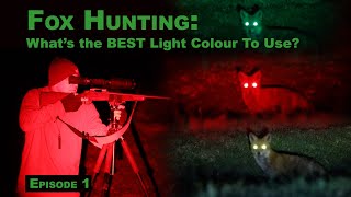 Whats the BEST Light Colour for Fox Hunting [upl. by Sekofski]