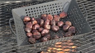 From the Pit How to Roast Chestnuts on an Open Fire [upl. by Mars]