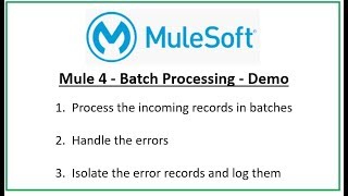 How to handle error records in Mule 4 Batch Processing [upl. by Alracal603]