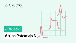 Action Potentials  Part 3 Skeletal Muscle Action Potential [upl. by Anawahs]