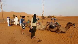 Merzouga 3 Days2 Nights From Marrakech  Morocco Desert Tour [upl. by Lev881]