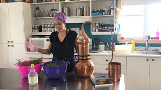 Distilling Coriander in a Copper Alembic [upl. by Neenwahs]