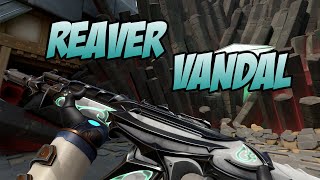 REAVER VANDAL SKIN GAMEPLAY WHITE  VALORANT REAVER SKINS [upl. by Ahsile]