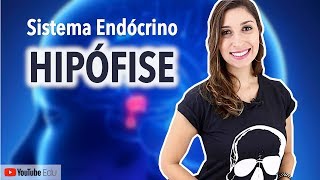 Hipófise Sistema Endócrino  Anatomia e etc [upl. by Nauquf742]