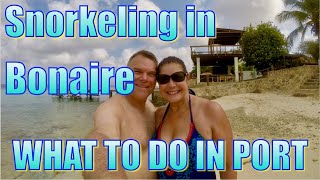 Snorkeling in Bonaire  What to Do on Your Day in Port [upl. by Eiramanin]