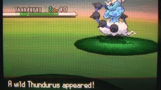 White 62 Catching Thundurus [upl. by Craddock]