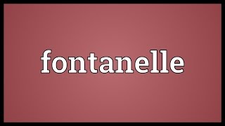 Fontanelle Meaning [upl. by Ocirema489]