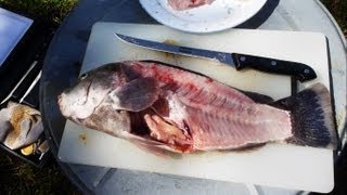 How to Fillet a Fish quick and easy way [upl. by Alvinia817]