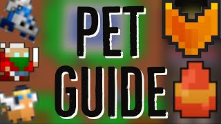 RotMG  The Complete Pet Guide Basics Fusing Leveling Fame Feeding [upl. by Twedy]