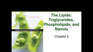 The Lipids Chapter 5 [upl. by Nerhe]