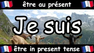 French Conjugation Song  Être  Celtic Music [upl. by Nosrej536]