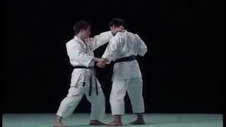 Heian Godan Bunkai Shito Ryu [upl. by Nnylarak]