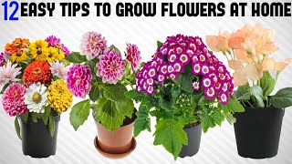 12 Tricks To Grow Tons of Flowers at Home  EASY TIPS [upl. by Ettennal]