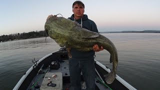 7 Keys To Catch A MONSTER CATFISH Huge Flathead [upl. by Schulze]