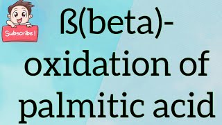 Beta oxidation of Palmitic acid [upl. by Naul449]