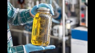 How Its Made Cannabis Distillate Oil [upl. by Natanoy]