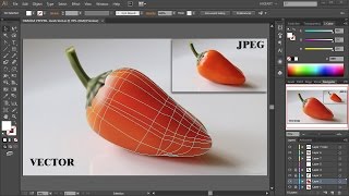 The Mesh Tool  Coloring and Shading  Adobe Illustrator [upl. by Adnuhser]