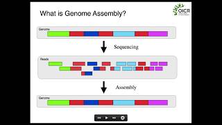 Fundamentals of Genome Assembly [upl. by Drehcir]