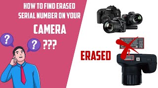 HOW TO FIND YOUR CAMERAS SERIAL NUMBER [upl. by Aelgna]