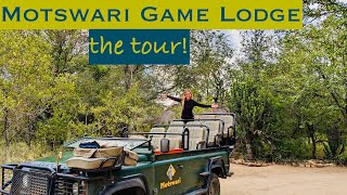 Motswari Game Lodge Tour African Wild Safari [upl. by Ahtenak]