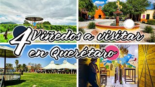 4 Viñedos que debes conocer en Querétaro  Ruta del Vino  La Redonda Donato Azteca Puerta de Lobo [upl. by Edea631]