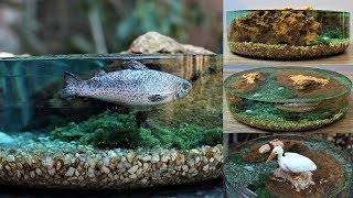 How to Make a Miniature Fish Pond Diorama  Resin Art [upl. by Dhiman]