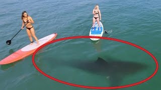 5 Scary Things Caught on Camera By Drones  GoPro Karma [upl. by Dibb]