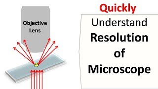 Resolution of a Microscope [upl. by Ardnaiek]