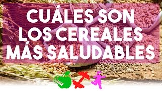 Cuáles son los cereales más saludable DGS Brenda [upl. by Kosak175]