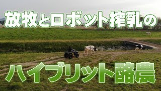 放牧とロボット搾乳のハイブリット酪農！デイリーネットワーク【第３９回】 [upl. by Kcirtapnhoj]