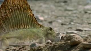 Walking with Monsters  Baby Dimetrodon rush [upl. by Htebyram]