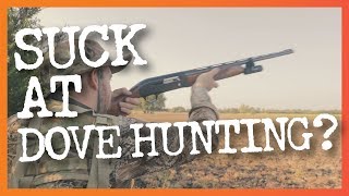 8 Common Dove Hunting Mistakes amp How to Fix Them [upl. by Ennoirb254]