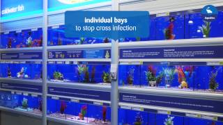 Making our pets at home  Aquatics [upl. by Awuhsoj]