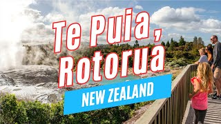 Explore TE PUIA in Rotorua North Island New Zealand  Video Tour [upl. by Joelle571]