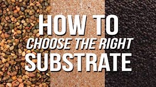 HOW TO Choose an Aquarium Substrate [upl. by Alinna]