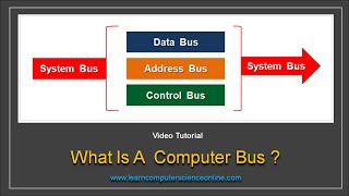 Computer Bus  What Is A Computer Bus   Computer Bus Types [upl. by Supmart]