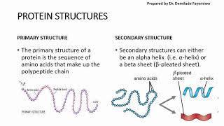 Chapter 23 Biological Molecules  Proteins [upl. by Gombosi627]