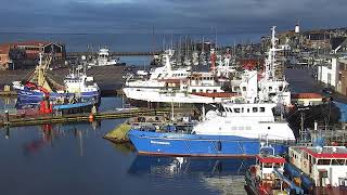 Werkhaven Urk [upl. by Garlaand]