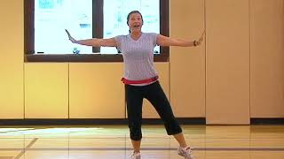 9 Min Aerobics For Beginners  Morning Energy Booster  Aerobic Exercises [upl. by Nylirrej283]