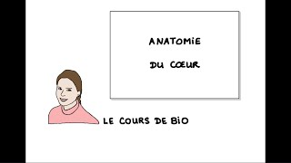 Anatomie du cœur [upl. by Ahsiuqal]