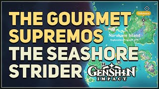 The Gourmet Supremos The Seashore Strider Genshin Impact [upl. by Lody]