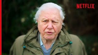 Sir David Attenborough On The Devastating Truth About Coral Reefs [upl. by Conover]