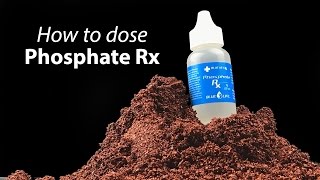 How to dose Phosphate Rx in your reef tank [upl. by Nehcterg889]