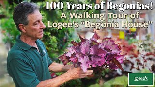 100 Years of Begonias A Tour of Logees Famous quotBegonia Housequot [upl. by Herm115]