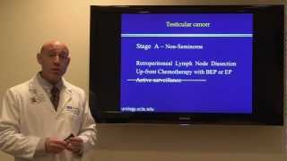 Testicular Torsion  What To Do About This Urologic Emergency [upl. by Faria]