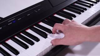 Alesis Recital Overview [upl. by Kevan]