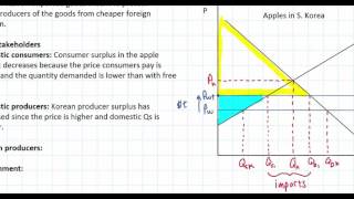 Protectionist Tariffs [upl. by Ayoras]