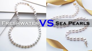 Freshwater Pearls vs Sea Pearls Akoya Pearls [upl. by Nessnaj]