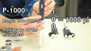 How to use a Micropipette [upl. by Atoel653]